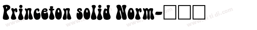 Princeton solid Norm字体转换 Princeton solid Norm字体转换